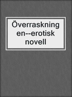 cover image of Överraskningen--erotisk novell