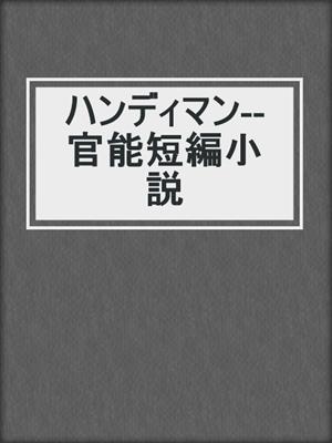 cover image of ハンディマン--官能短編小説