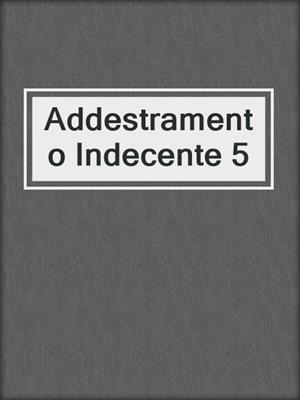 cover image of Addestramento Indecente 5
