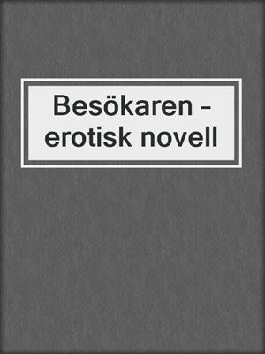 cover image of Besökaren – erotisk novell