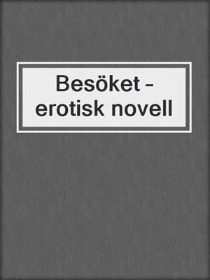 cover image of Besöket – erotisk novell