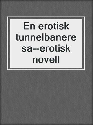 cover image of En erotisk tunnelbaneresa--erotisk novell