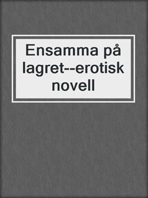 cover image of Ensamma på lagret--erotisk novell