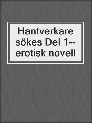 cover image of Hantverkare sökes Del 1--erotisk novell