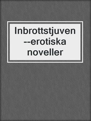 cover image of Inbrottstjuven--erotiska noveller