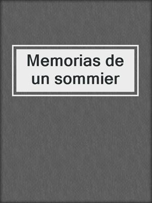 cover image of Memorias de un sommier