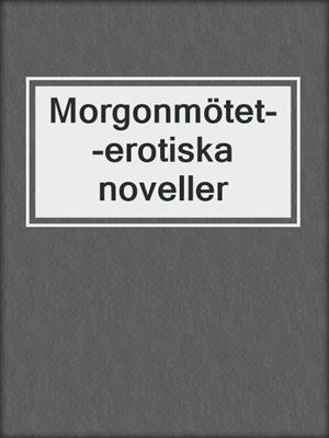 cover image of Morgonmötet--erotiska noveller