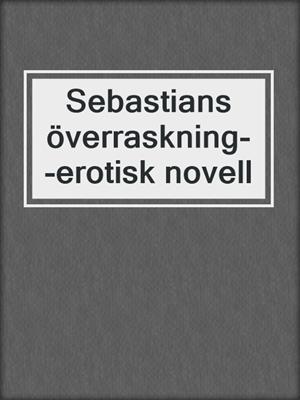 cover image of Sebastians överraskning--erotisk novell