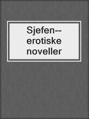 cover image of Sjefen--erotiske noveller